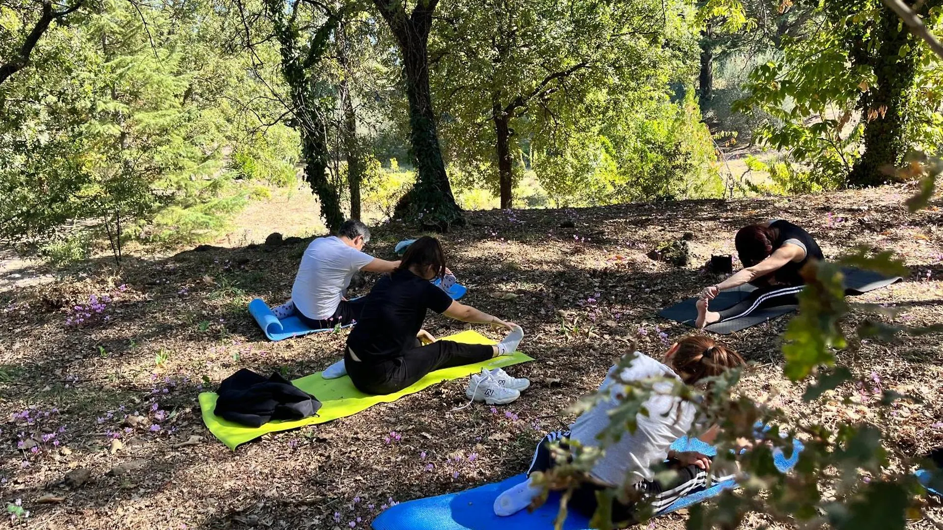 Villa Poggio Roseto Randazzo Casa vacanze