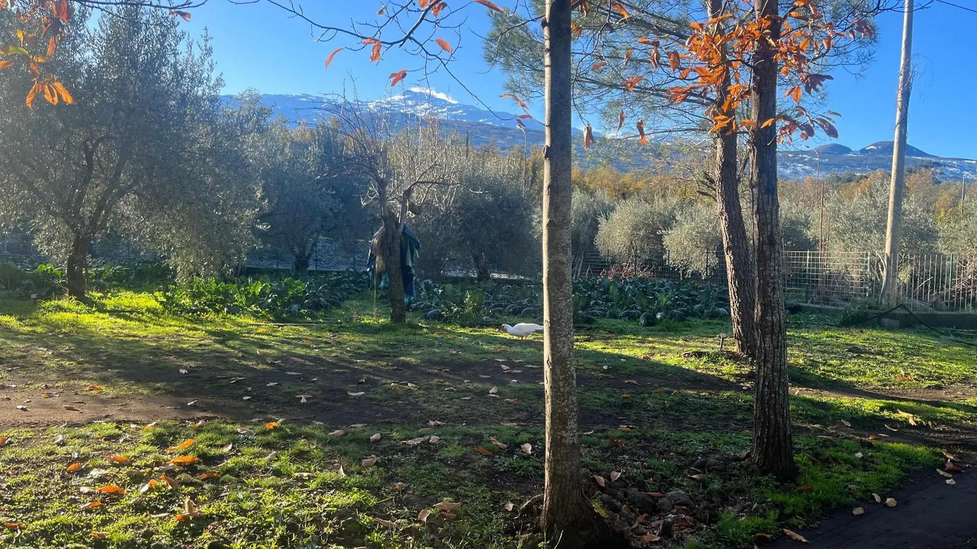 Casa vacanze Villa Poggio Roseto Randazzo Italia