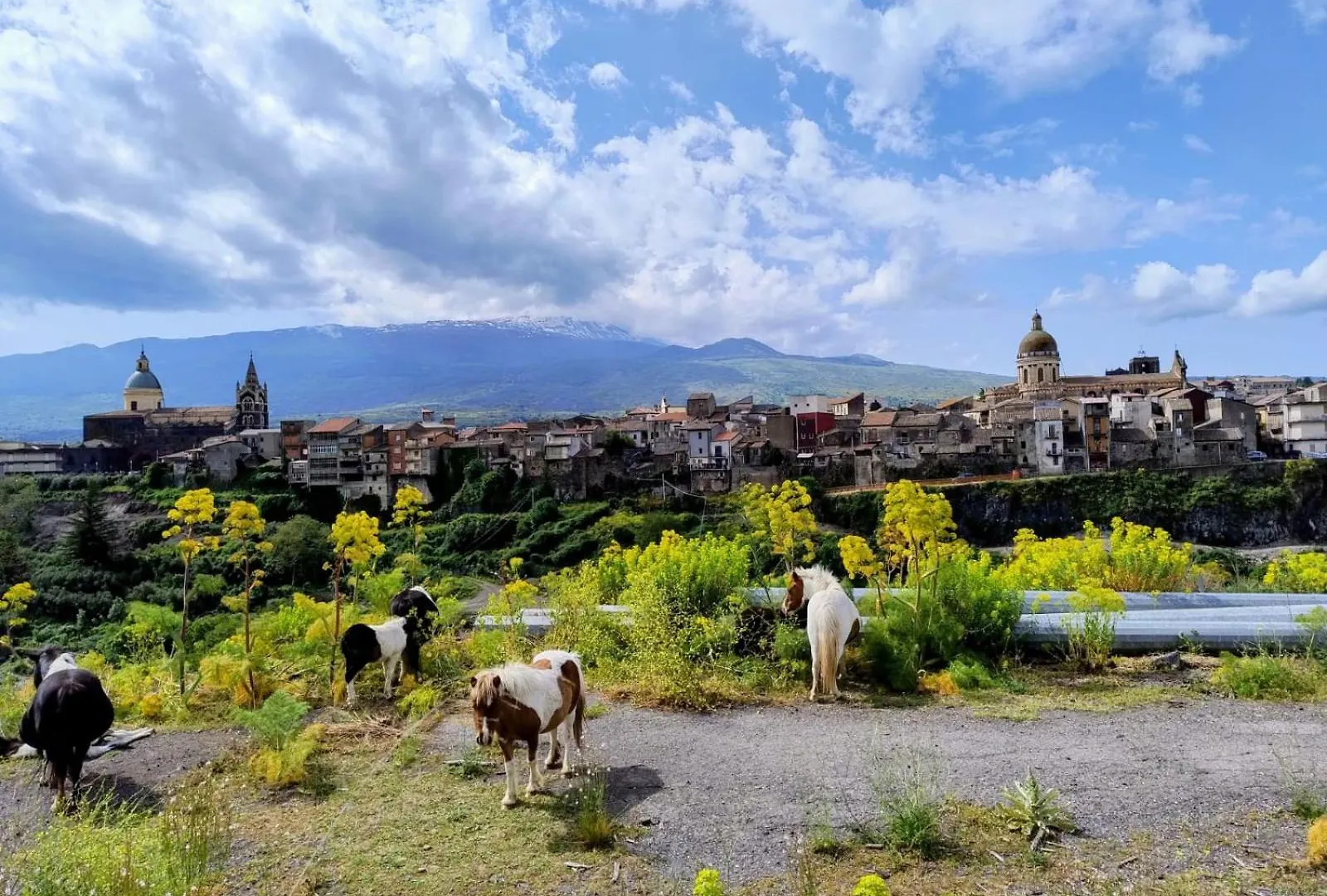 Poggio Roseto Villa Randazzo 0*,  Italy